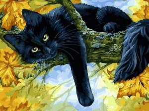 "Осенний кот"  живопись на холсте 30*40см