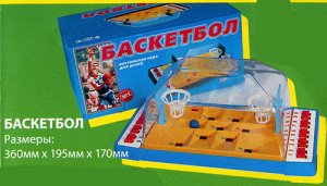 Игра "Баскетбол" (Омск) /6