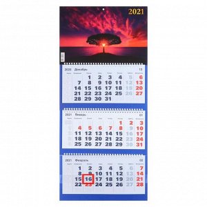 Календари квартальные трио "Закат, 2021- 2" 31 х 69 см