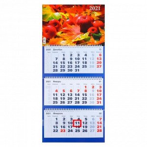 Календари квартальные трио "Природа, 2021 - 8" 31 х 69 см