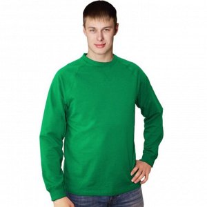 Толстовка мужская, размер 50, цвет зелёный