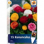 Лютик микс размер луковицы 6/7, 15 шт.