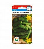 Огурцы, семена