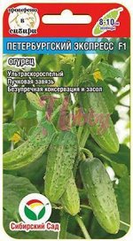 Огурцы, семена