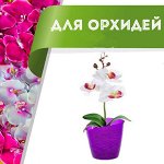 Цветоводство: для дома и дачи