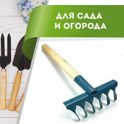 Цветоводство: для дома и дачи