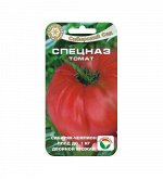 Томат , семена