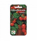 Томат , семена