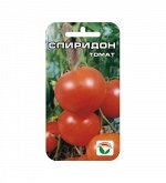 Томат , семена