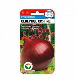 Лук семена