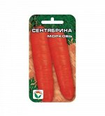 Морковь семена