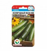 Кабачки семена