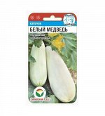 Кабачки семена