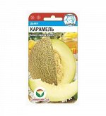 Дыня семена