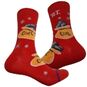 05235 Дизайнерские носки серии Рождество и Новый год " Мешок с углем", р-р 36-41 (красный), 2690000005235