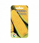 Кукуруза семена