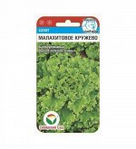 Салат семена