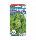 Салат семена