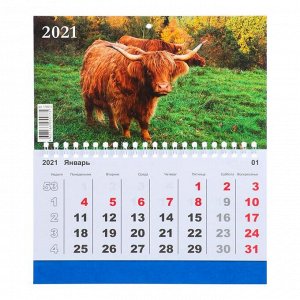 Календарь одноблочный, Символ года, 200х240 мм, 2021