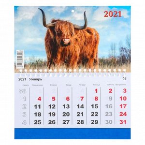 Календарь одноблочный, Символ года, 200х240 мм, 2021