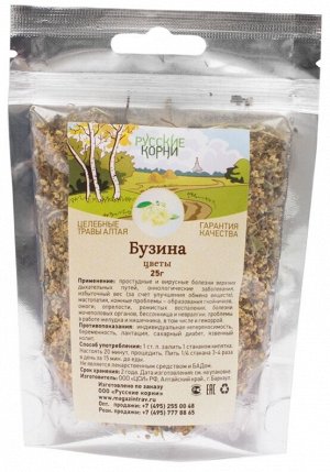 Бузина цветы