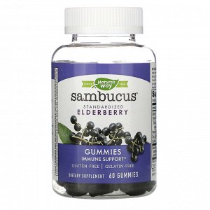 Nature&#x27 - s Way, Sambucus, стандартизированный экстракт бузины, 60 жевательных таблеток