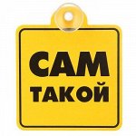 Табличка Сам такой