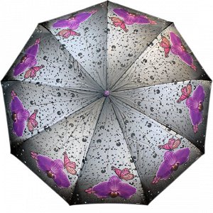 Зонт женский п/автомат 6832-3