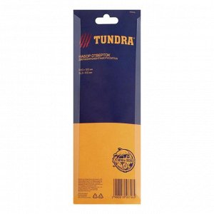 Набор отверток TUNDRA, PH0/SL3 х 100 мм, обработка сатин, 2К рукоятка, намагниченное жало