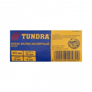 Мини-валик TUNDRA, велюр, 100 мм, ручка d=6 мм, D=15 мм, ворс 5 мм