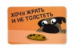 Виниловый магнит- Хочу жрать и не толстеть.