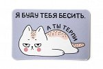 Виниловый магнит- Я буду тебя бесить, а ты терпи.