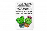 Виниловый магнит- Ты любовь моей жизни и Самая большая заноза в моей заднице.