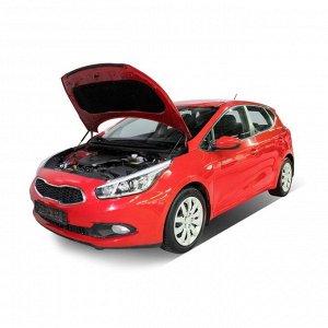 Упоры капота АвтоУПОР для Kia Ceed II 2012-2015 2015-2018, 2 шт., UKICEE012