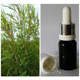34 Натуральное 100% эфирное масло без добавок Чайное дерево Melaleuca alternifolia Cheel, 10 мл