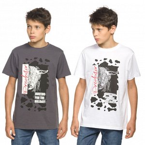 BFT5822 футболка для мальчиков