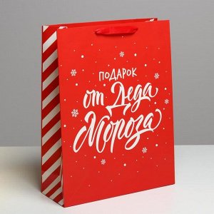 Пакет подарочный новогодний ламинированный «Подарок от Деда Мороза», L 31 х 40 х 11.5 см