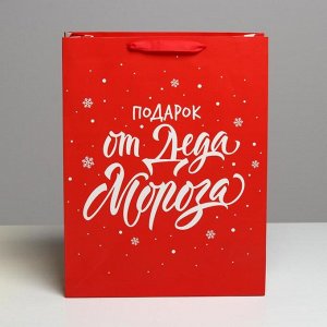Пакет подарочный новогодний ламинированный «Подарок от Деда Мороза», L 31 х 40 х 11.5 см