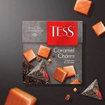 Чай Тесс пирамида Caramel Charm 1,8г 1/20/12