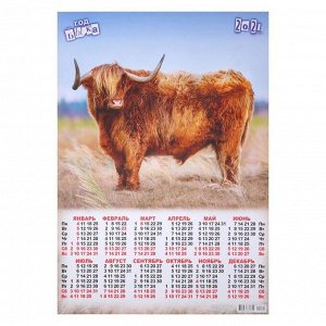 Календарь листовой А2 "Символ года - 2021 - 124"