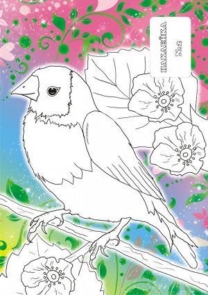 Раскраска с наклейками А5 "Птицы"