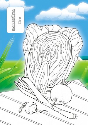 Раскраска с наклейками А5 "Овощи"