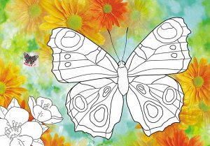 Раскраска А3 "Бабочки"