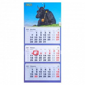 Календари квартальные трио "Символ года, 2021  - 31" 31 х 69 см