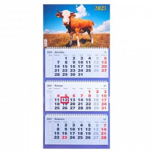Календари квартальные трио "Символ года, 2021  - 34" 31 х 69 см