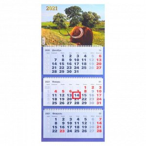 Календари квартальные трио "Символ года, 2021  - 35" 31 х 69 см