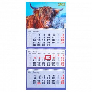 Календари квартальные трио "Ассорти, 2021 - 4" 31 х 69 см