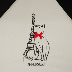 Зонт Flioraj160200 FJ Paris КОТ жен 3сл авт черн бел понж спиц