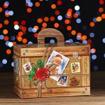 Новогодний подарок &quot;Посылка&quot; картонная упаковка, 900 г