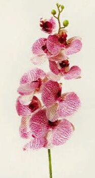 Орхидея фаленопсис (9 цветков).Искусственный цветок.
